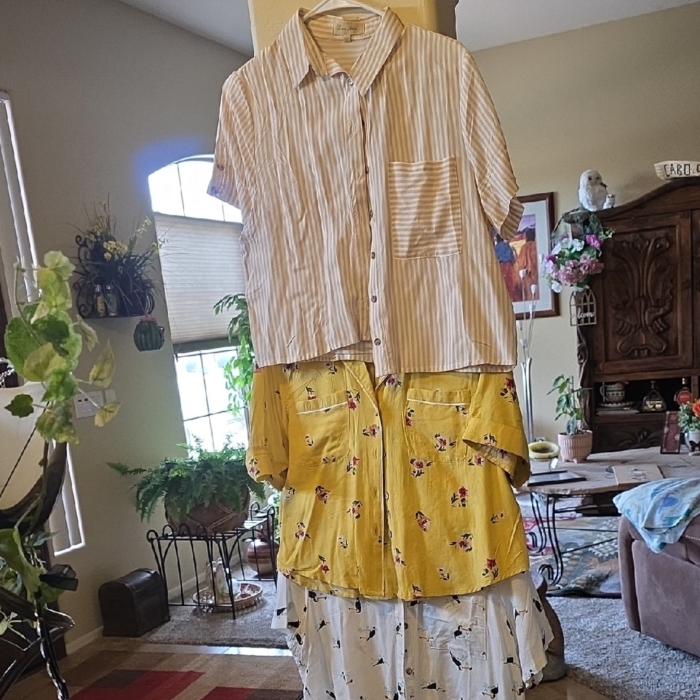 2/ Love Notes, and 1/ Pasport  Striped and Floral Blouses - Yellow, White, Pink